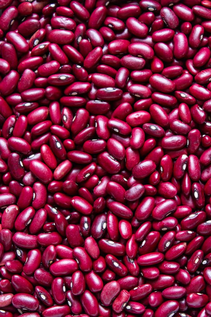ISO Certified Bulk Kidney Beans for School Feeding Initiatives; Bulk Pricing & Timely Delivery